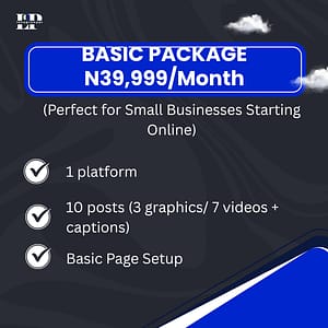 SOCIAL MEDIA MANAGEMENT & ADS (BASIC)